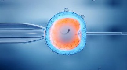 中山三代试管婴儿套餐费用，附详细流程