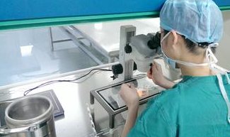 国内助孕生子费用大概是多少(美国试管助孕，的优势是什么)