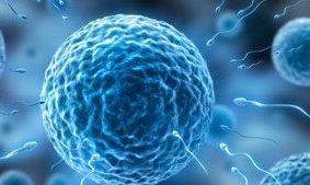 合肥第三代试管婴儿大概要多少钱？单个周期的总成本不超过此金额