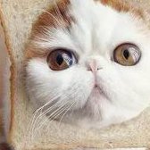 福州始基子宫试管top3医院排名分享，2026试管助孕步骤解说