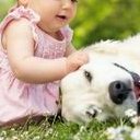 做试管婴儿调理好子宫环境很重要，内膜的好坏影响成功率