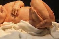 第三代试管婴儿的价格是多少？