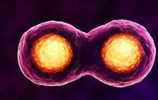 死精率80%的男性可以在常州市做三代试管吗？公开2026做三代试管条件