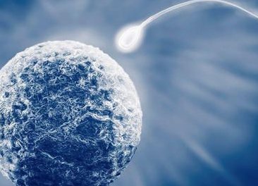 助孕机构能做哪些事情？连云港三大助孕公司服务介绍