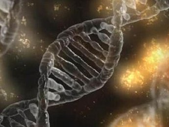 2026年在枣庄市妇幼做三代试管贵吗？钱都花到了哪些地方